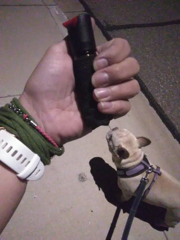 Walking your dog while carrying the Sabre Runner Pepper Gel is easy.